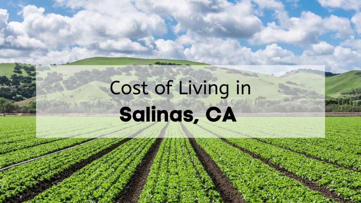 Salinas CA Cost of Living 💰 [2024] Is Salinas Expensive or Affordable
