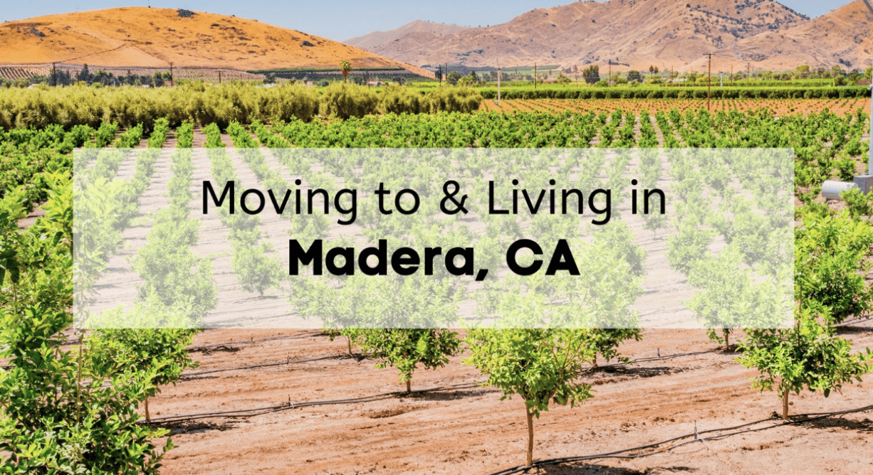 Living in Madera CA 🌳🍷 Tips + What to Know About Moving to Madera