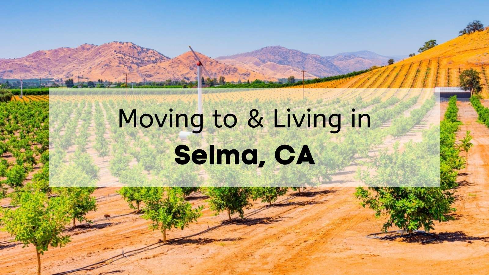 Moving to Selma? 🏡Here’s Everything You’ll Love About Living in Selma ...